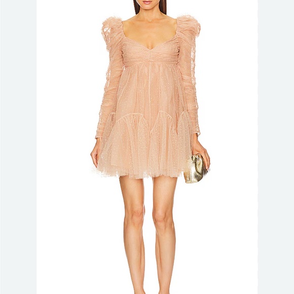 Zimmermann Tulle Ruched Mini Dress in Blush with Gold Dots